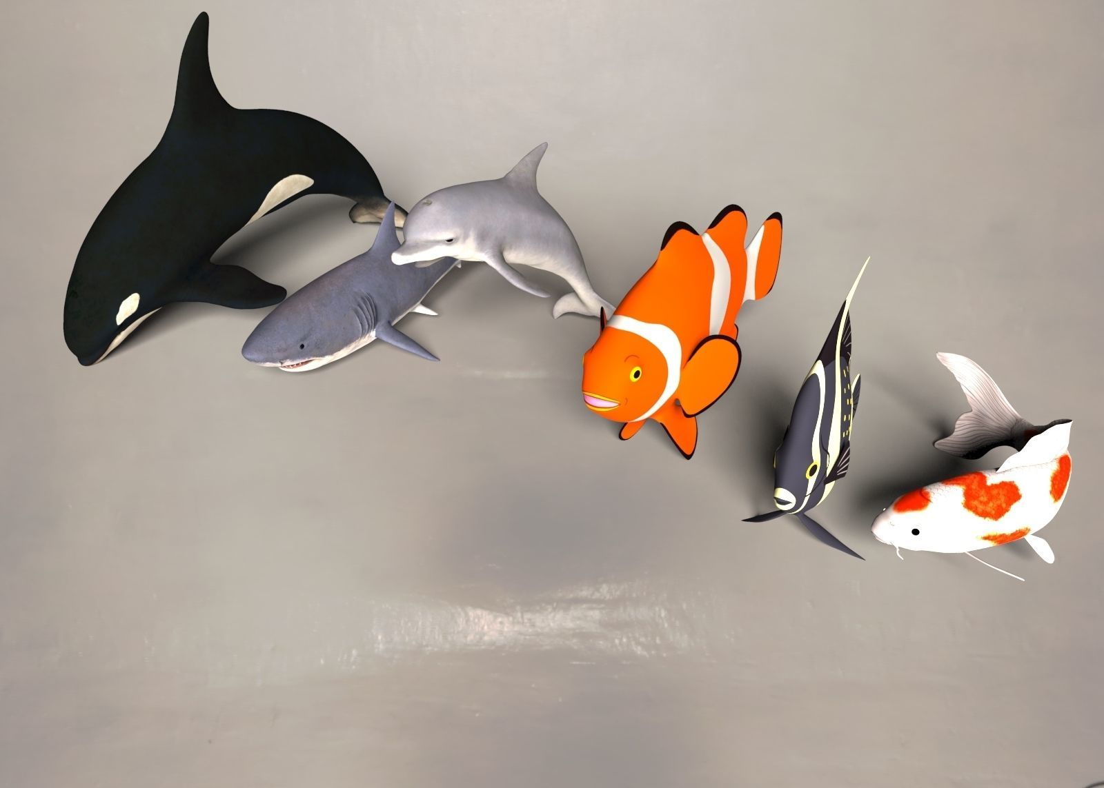 Fish shark koi carp dolphin killer whale clown fish and angel  3D model_4