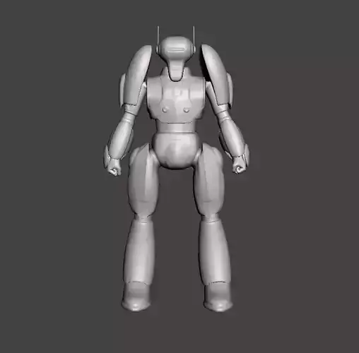 Commander Nezi 3D Model