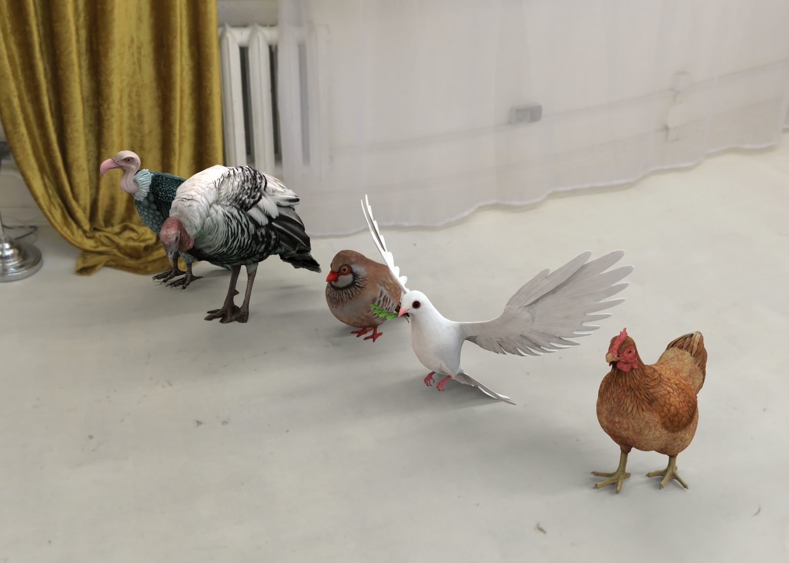 Bird group Chicken dove peace partridge vulture and turkey 3D model_4