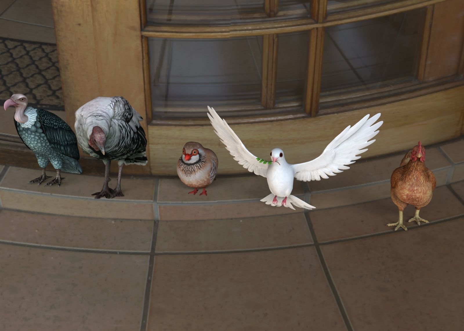 Bird group Chicken dove peace partridge vulture and turkey 3D model_5