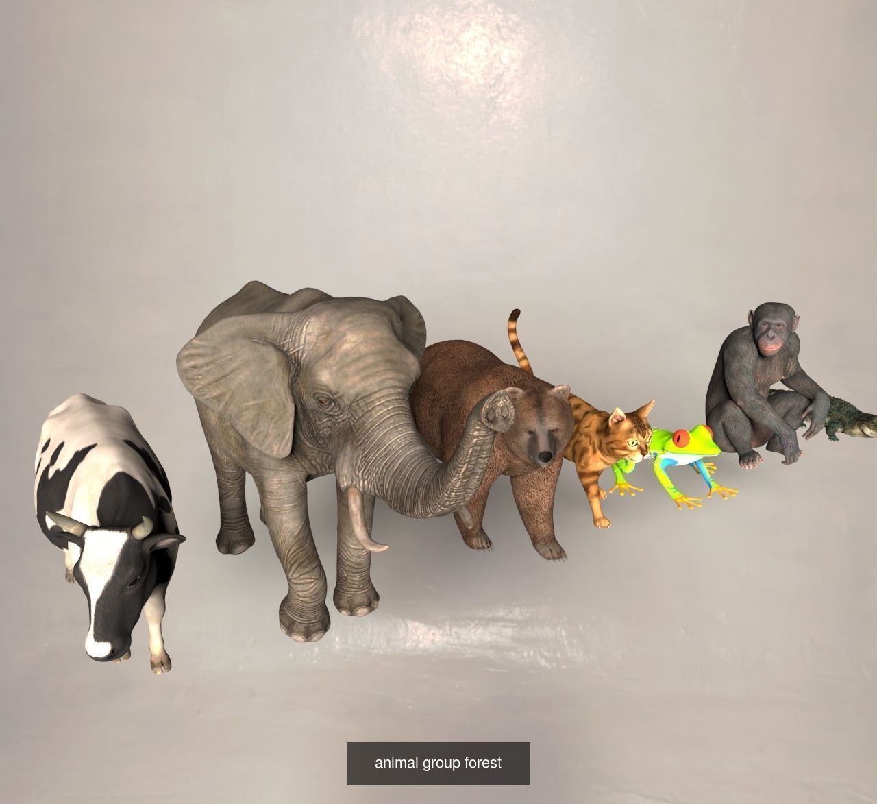 Animal and Bird collection of large number with premium quality _6