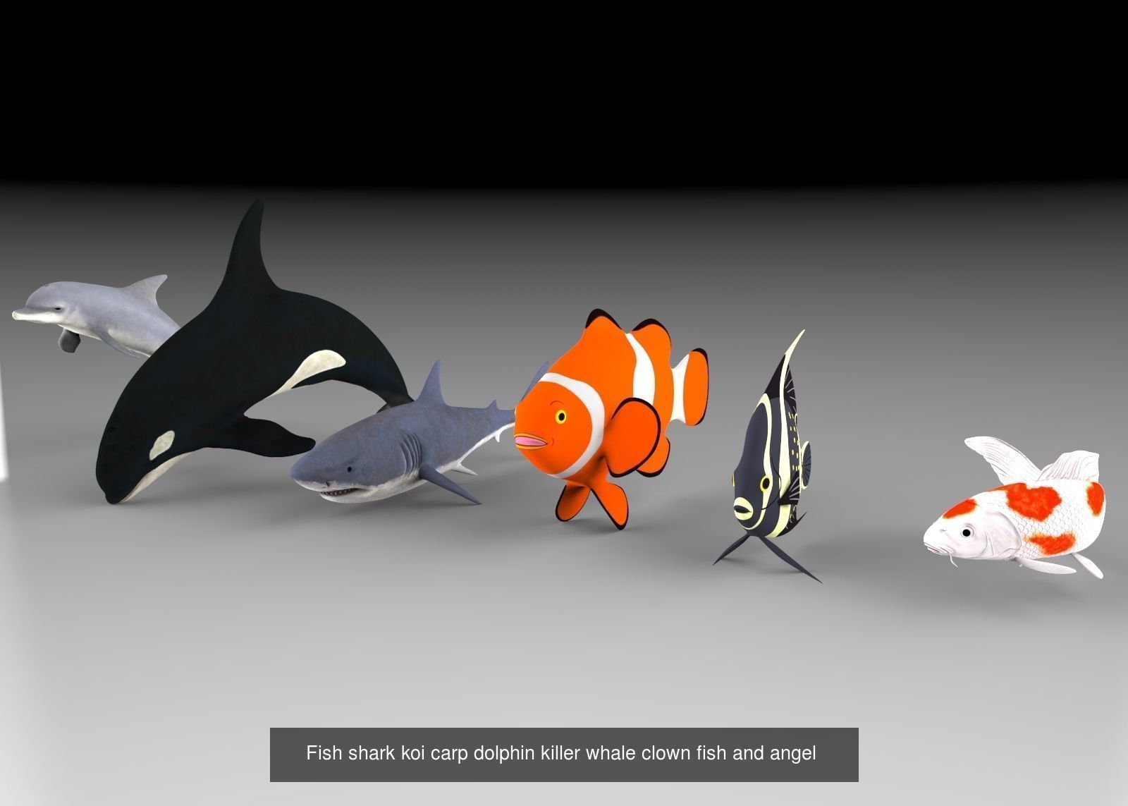 Animal and Bird collection of large number with premium quality _7