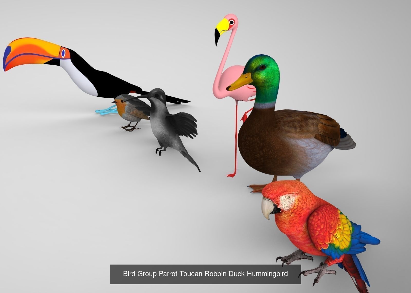 Animal and Bird collection of large number with premium quality _9