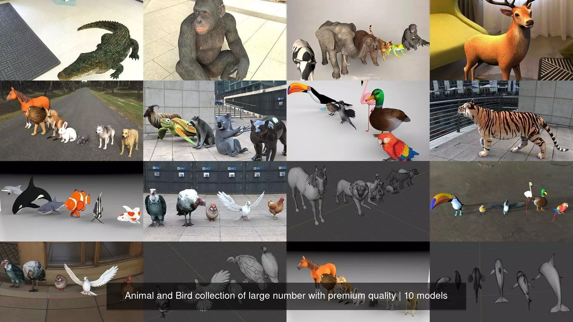 Animal and Bird collection of large number with premium quality _1