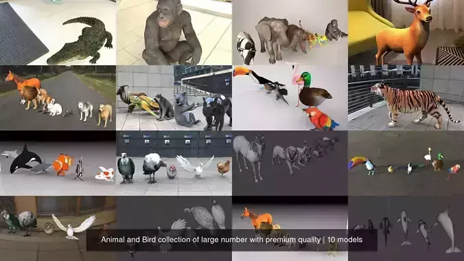 Animal and Bird collection of large number with premium quality