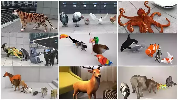 Animal and Bird collection of large number with premium quality 