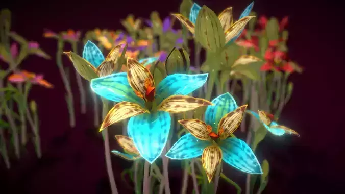 Flower Thelymitra Pulcherrima