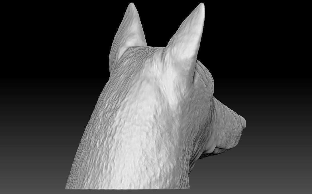 German Shepherd head for 3D printing 3D print model_10