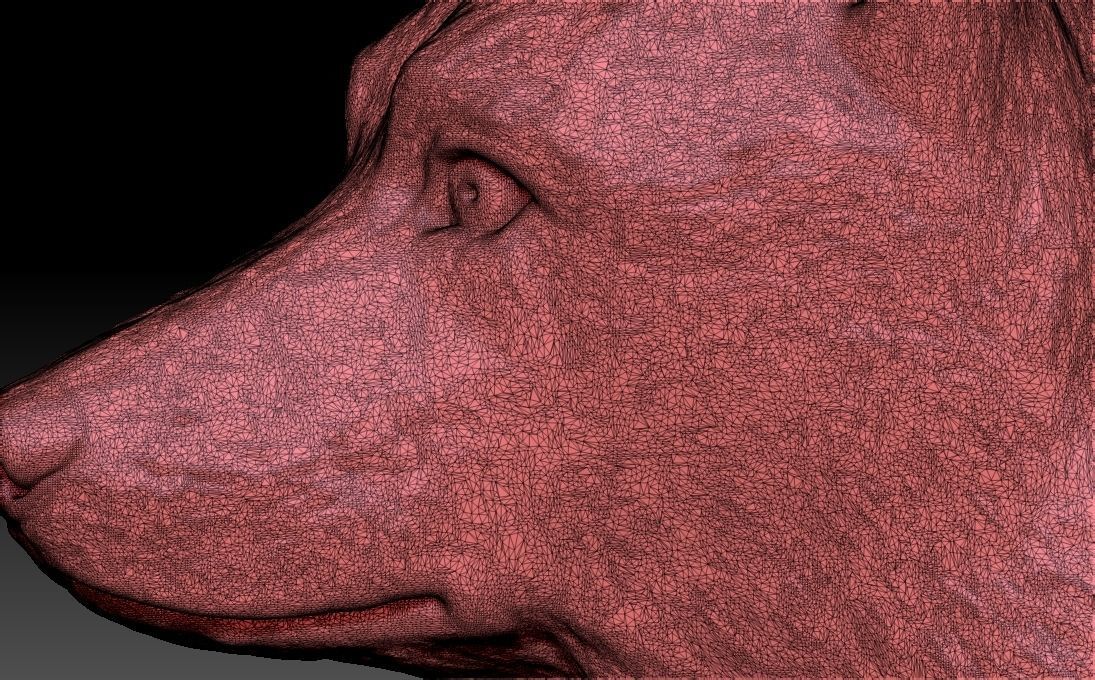 German Shepherd head for 3D printing 3D print model_26