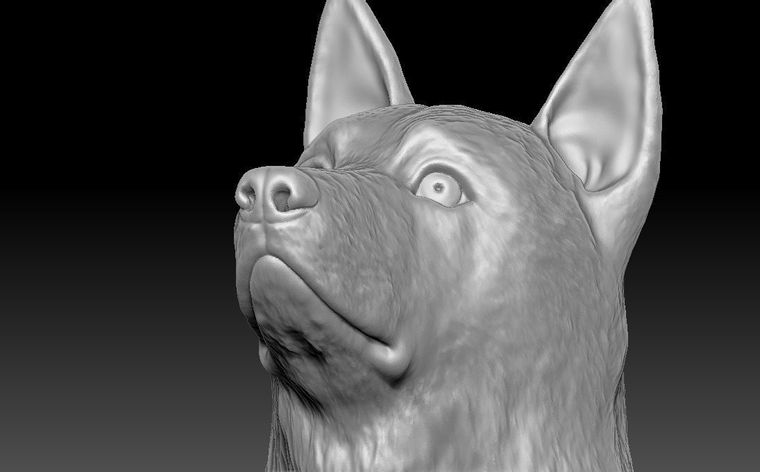 German Shepherd head for 3D printing 3D print model_21