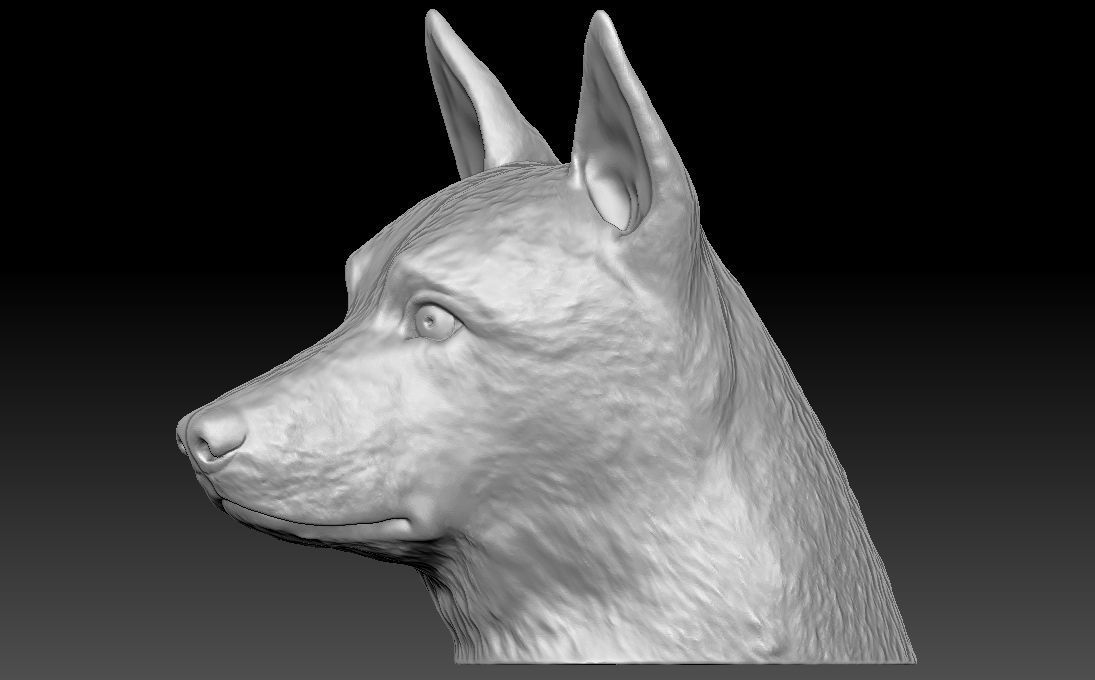 German Shepherd head for 3D printing 3D print model_5
