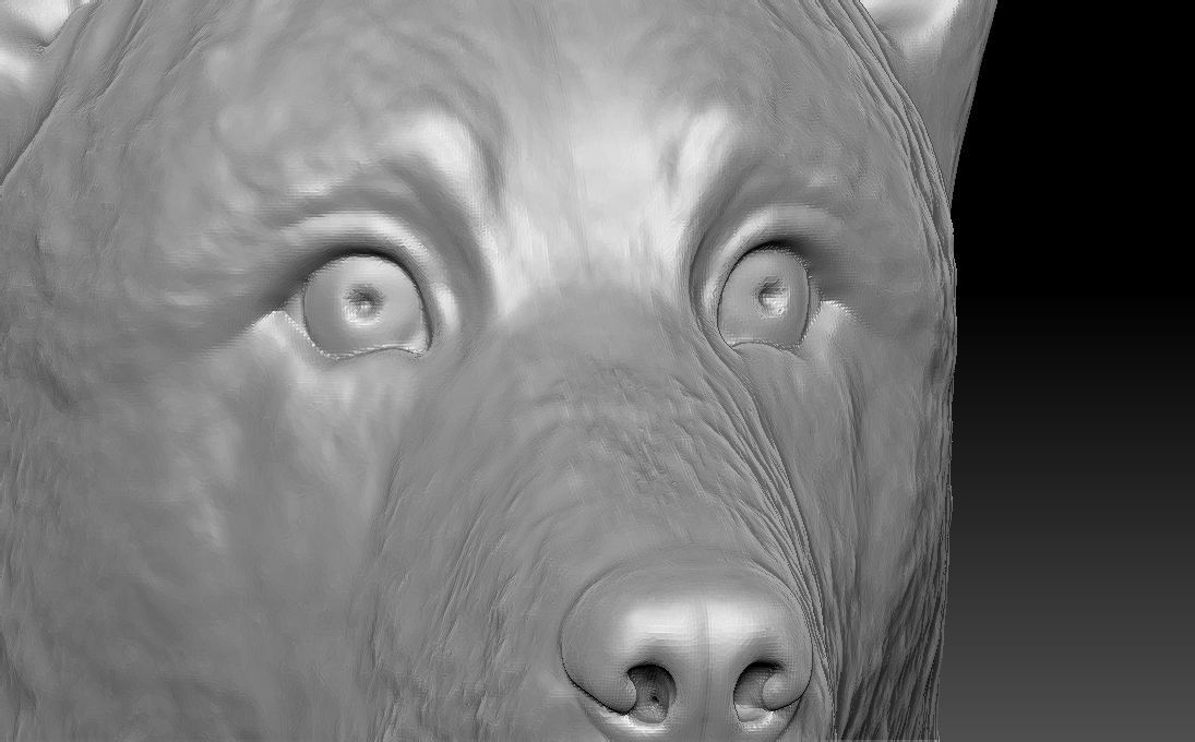 German Shepherd head for 3D printing 3D print model_19