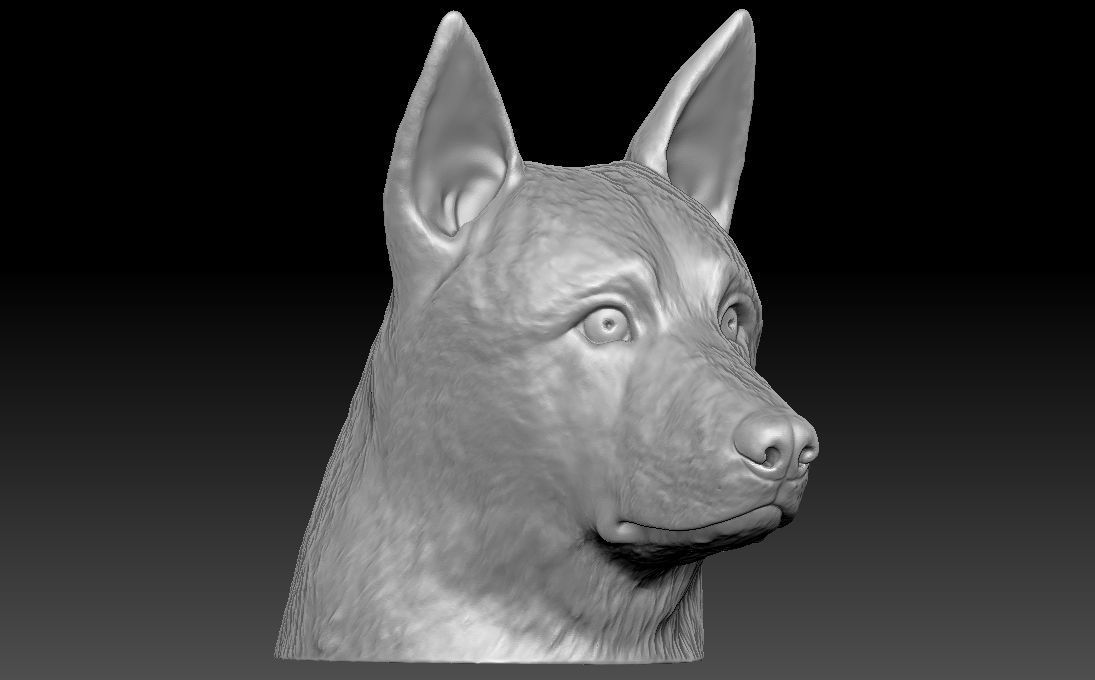 German Shepherd head for 3D printing 3D print model_13