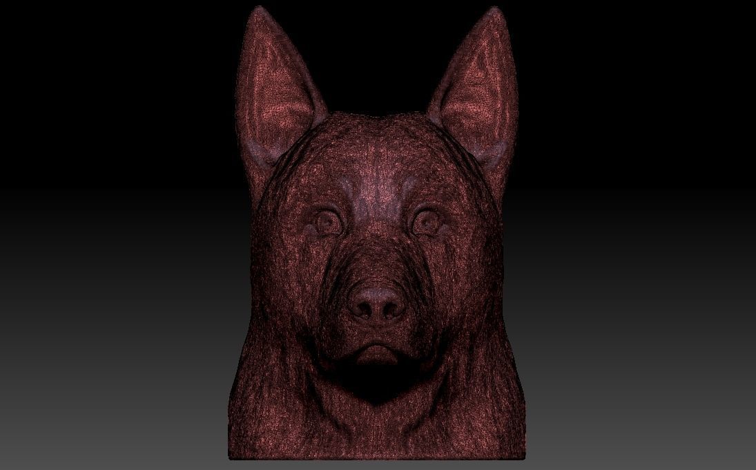 German Shepherd head for 3D printing 3D print model_23