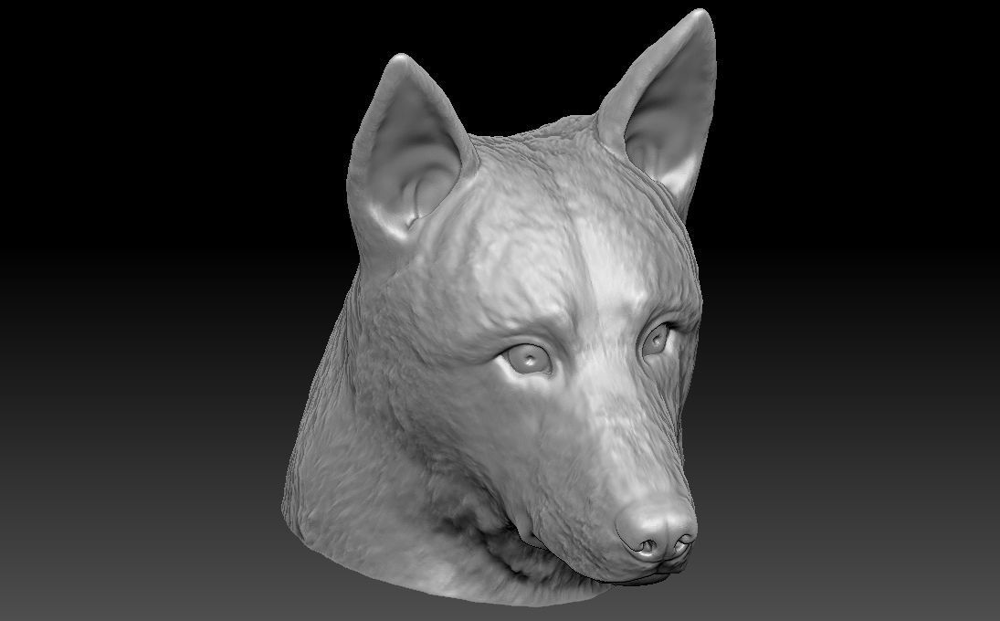 German Shepherd head for 3D printing 3D print model_15
