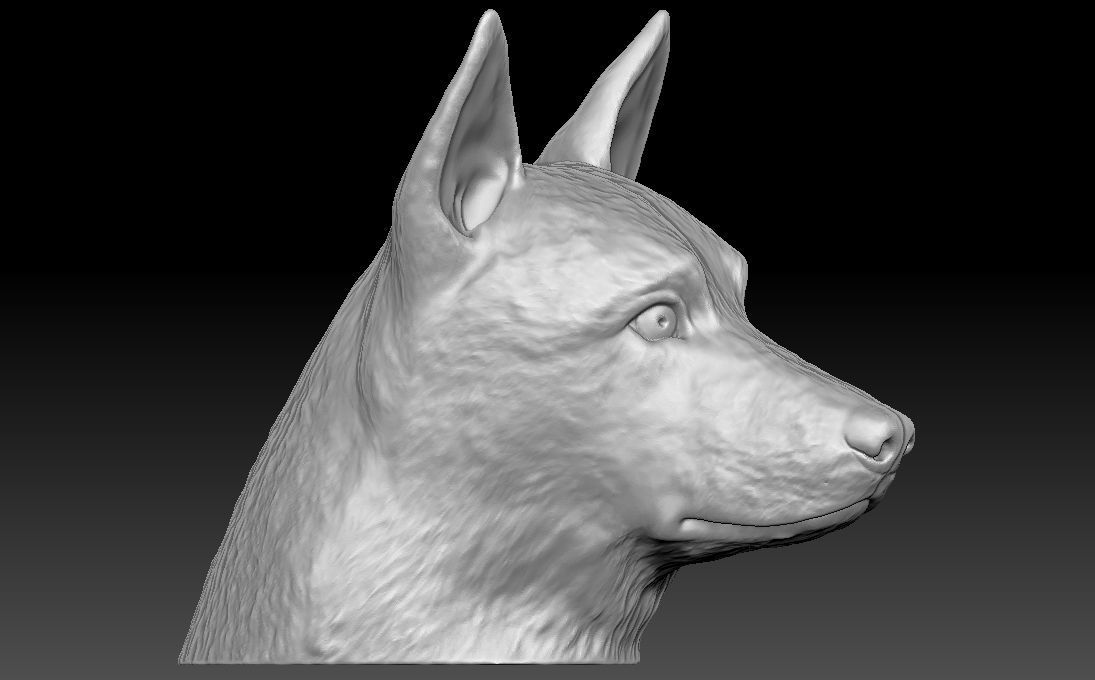 German Shepherd head for 3D printing 3D print model_12