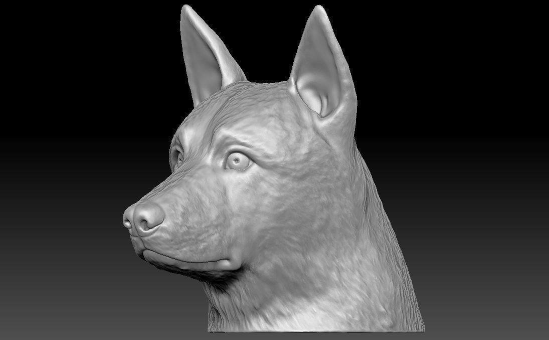 German Shepherd head for 3D printing 3D print model_4