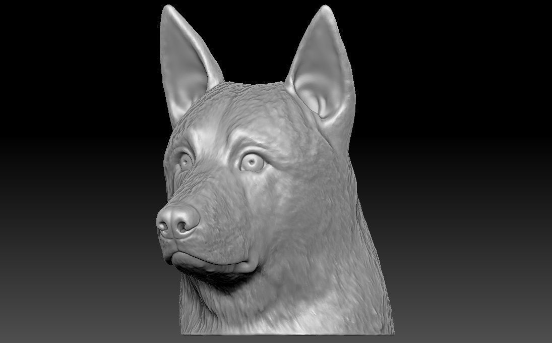 German Shepherd head for 3D printing 3D print model_3