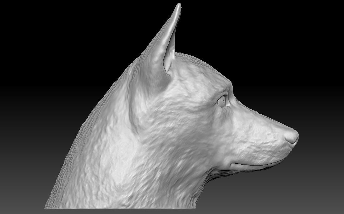 German Shepherd head for 3D printing 3D print model_11