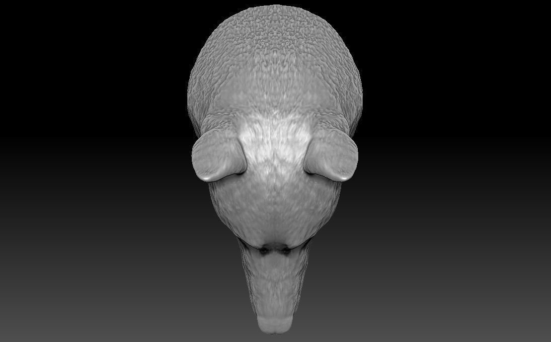 German Shepherd head for 3D printing 3D print model_18