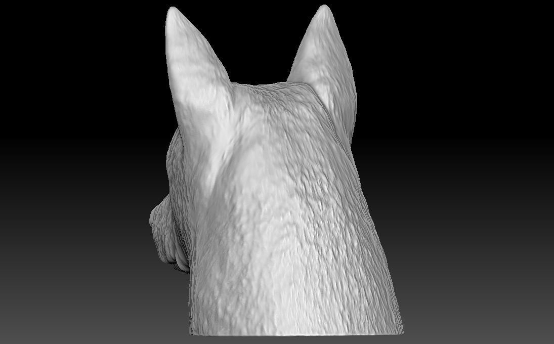 German Shepherd head for 3D printing 3D print model_8