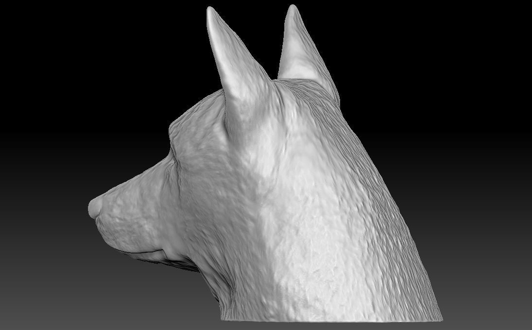 German Shepherd head for 3D printing 3D print model_7