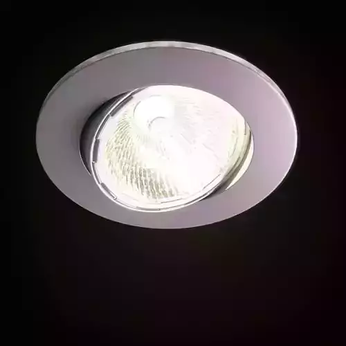 Swivel Ceiling Light