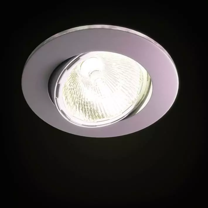 Swivel Ceiling Light 3D model_0