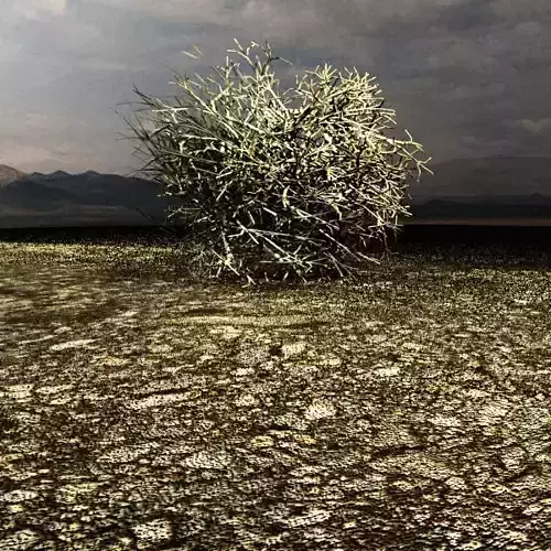 Western - Russian Tumble Weed 3D model