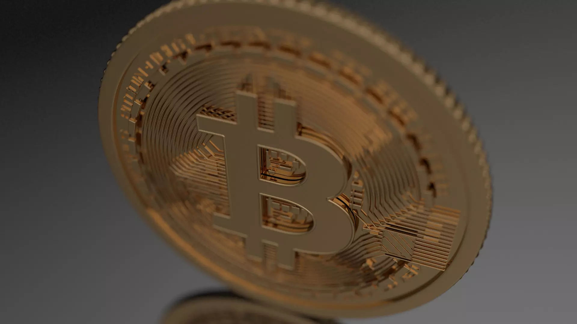 Bitcoin - High Poly Model coin 3D model_0