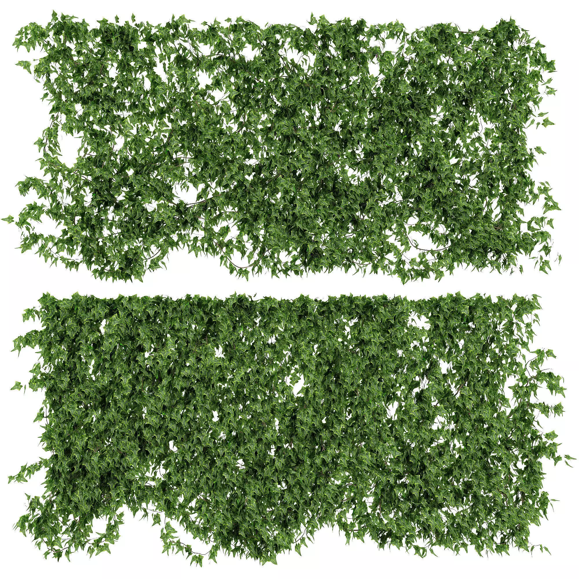Ivy walls 2 models v2 3D model_0