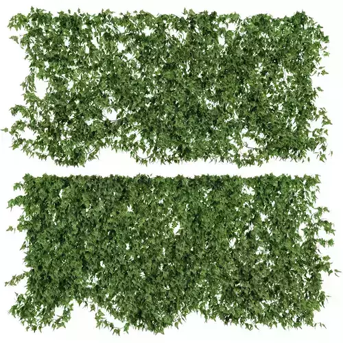 Ivy walls 2 models v2