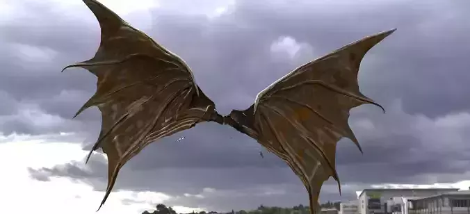 Bat wings Demon Wings 3D model