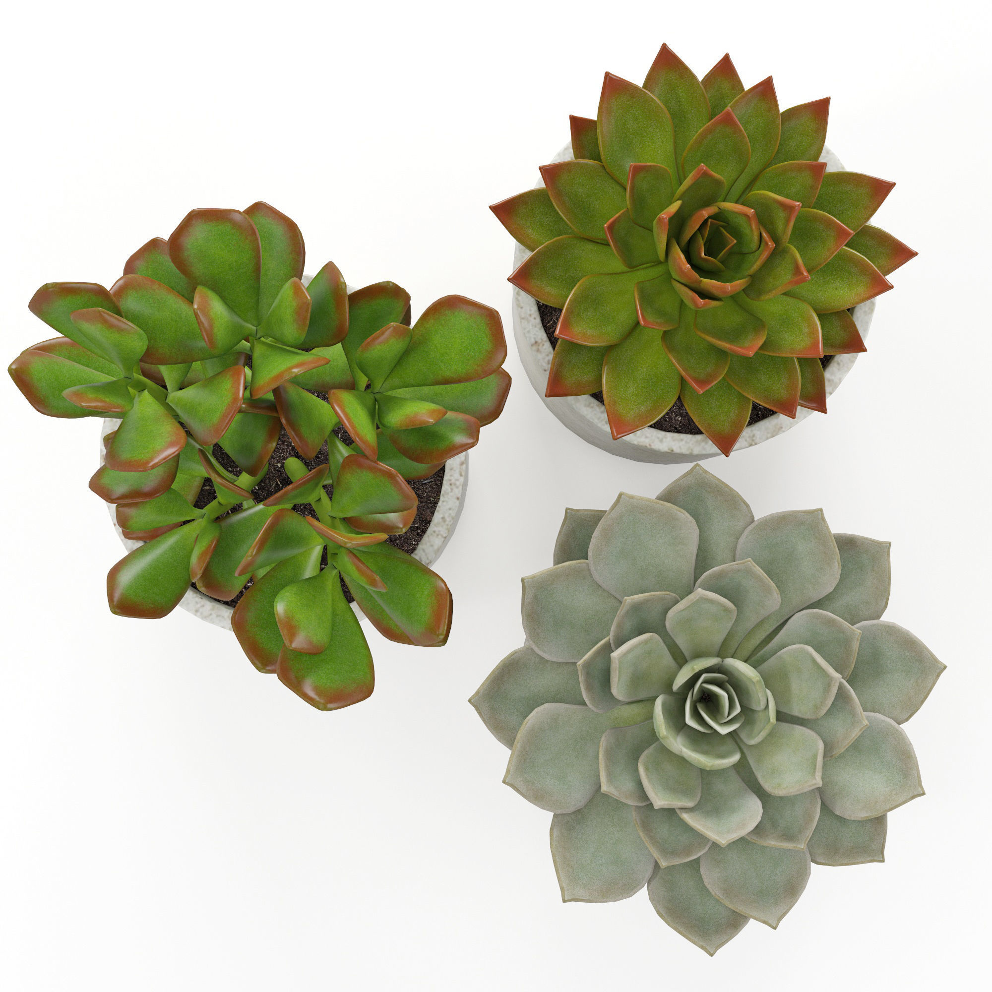 Houseplant 63 3D model_4