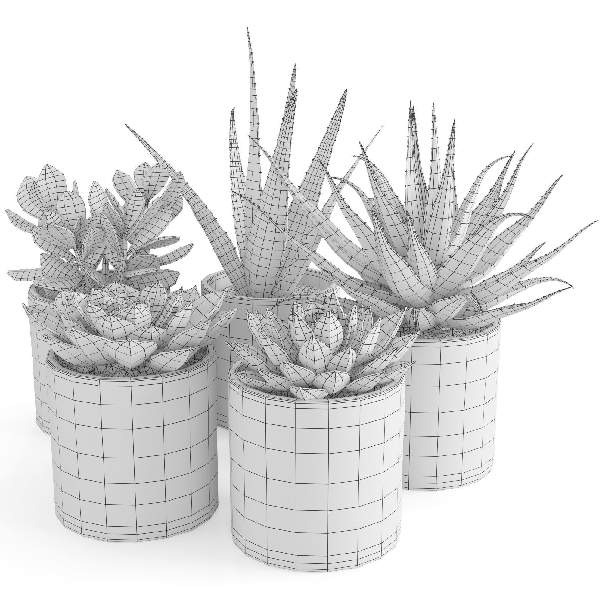 Houseplant 63 3D model_1