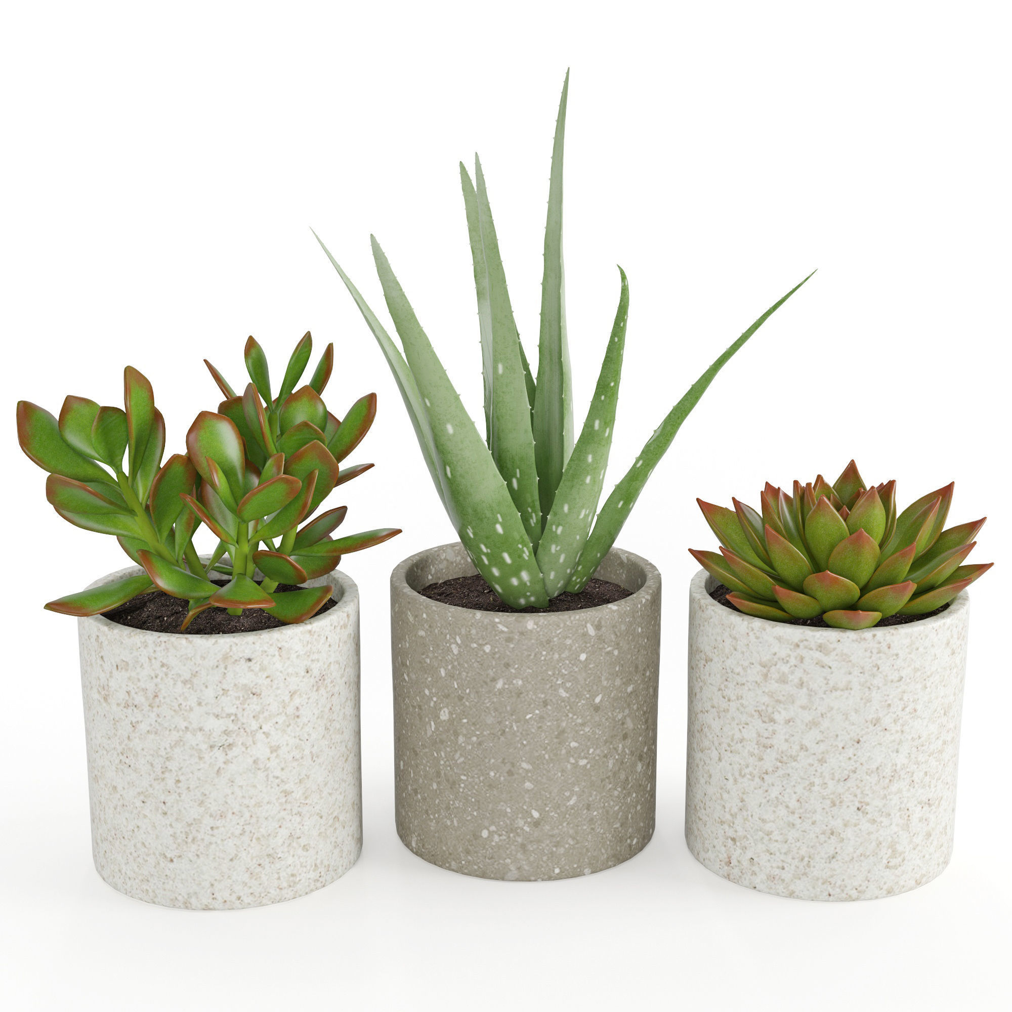 Houseplant 63 3D model_2