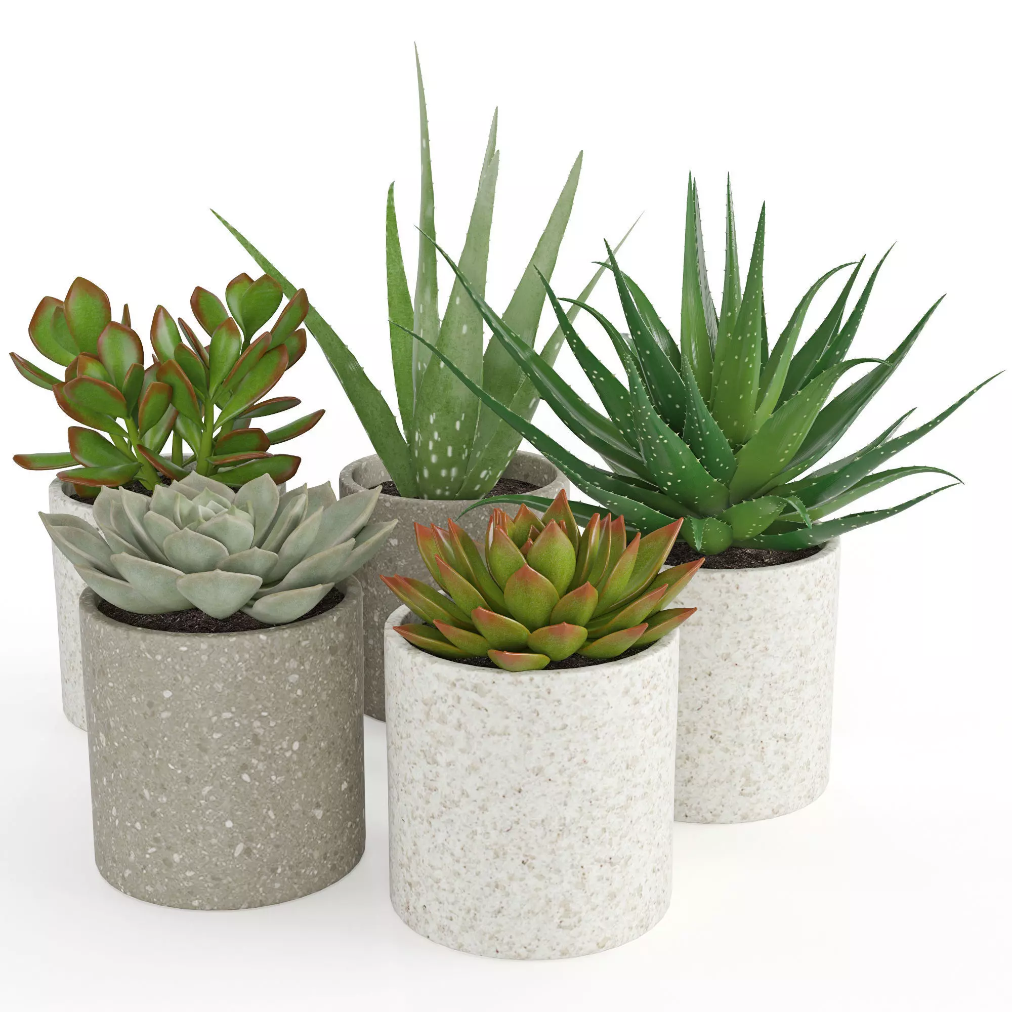 Houseplant 63 3D model_0