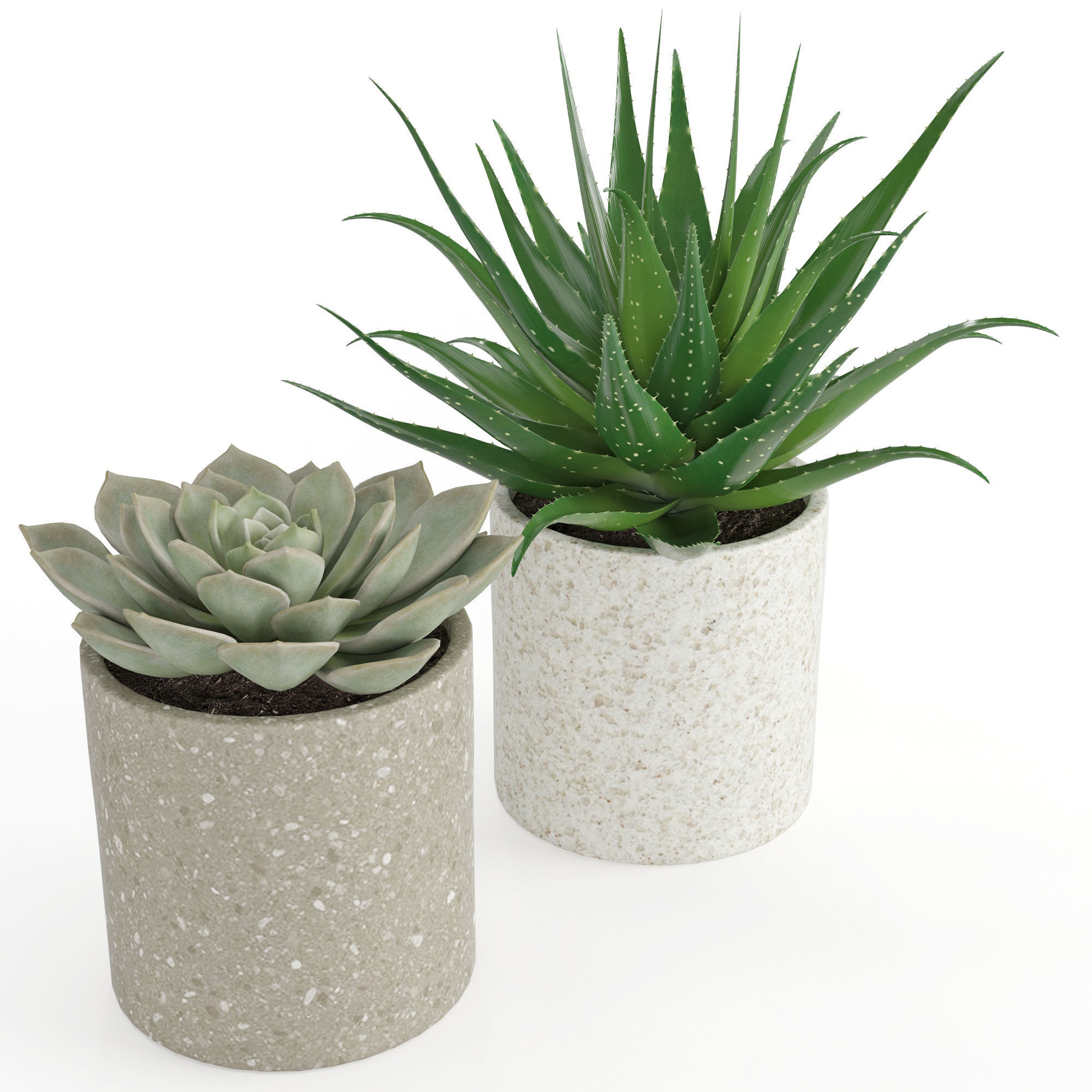 Houseplant 63 3D model_3