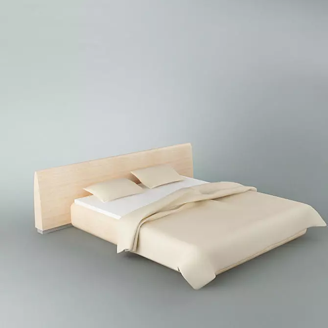 Bed 06 3D model_0