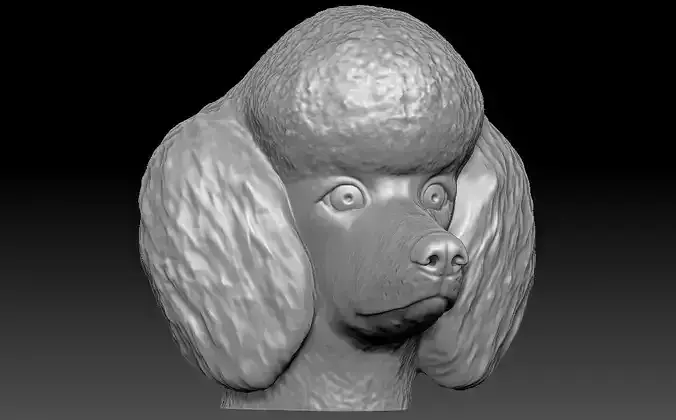 Poodle head for 3D printing 3D print model