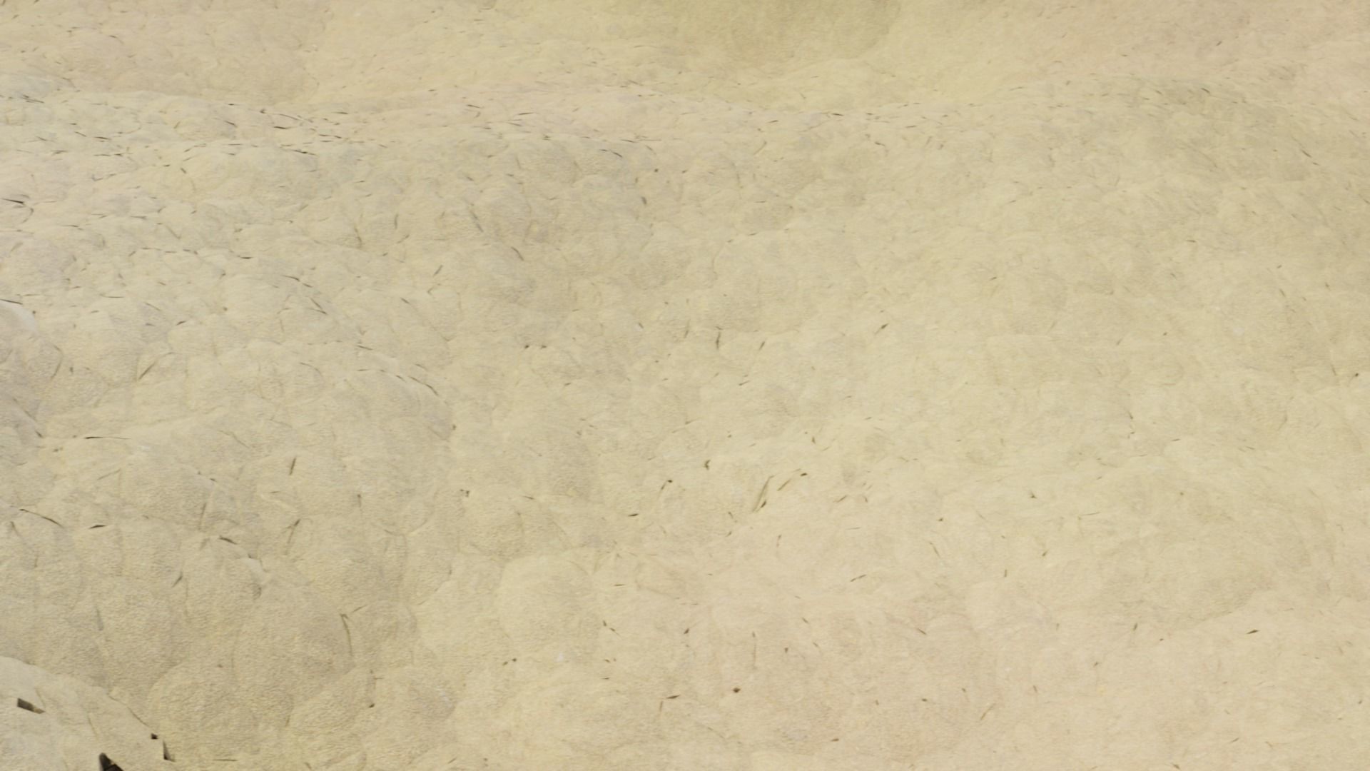 Mountain Terrain 1d 3D model_11