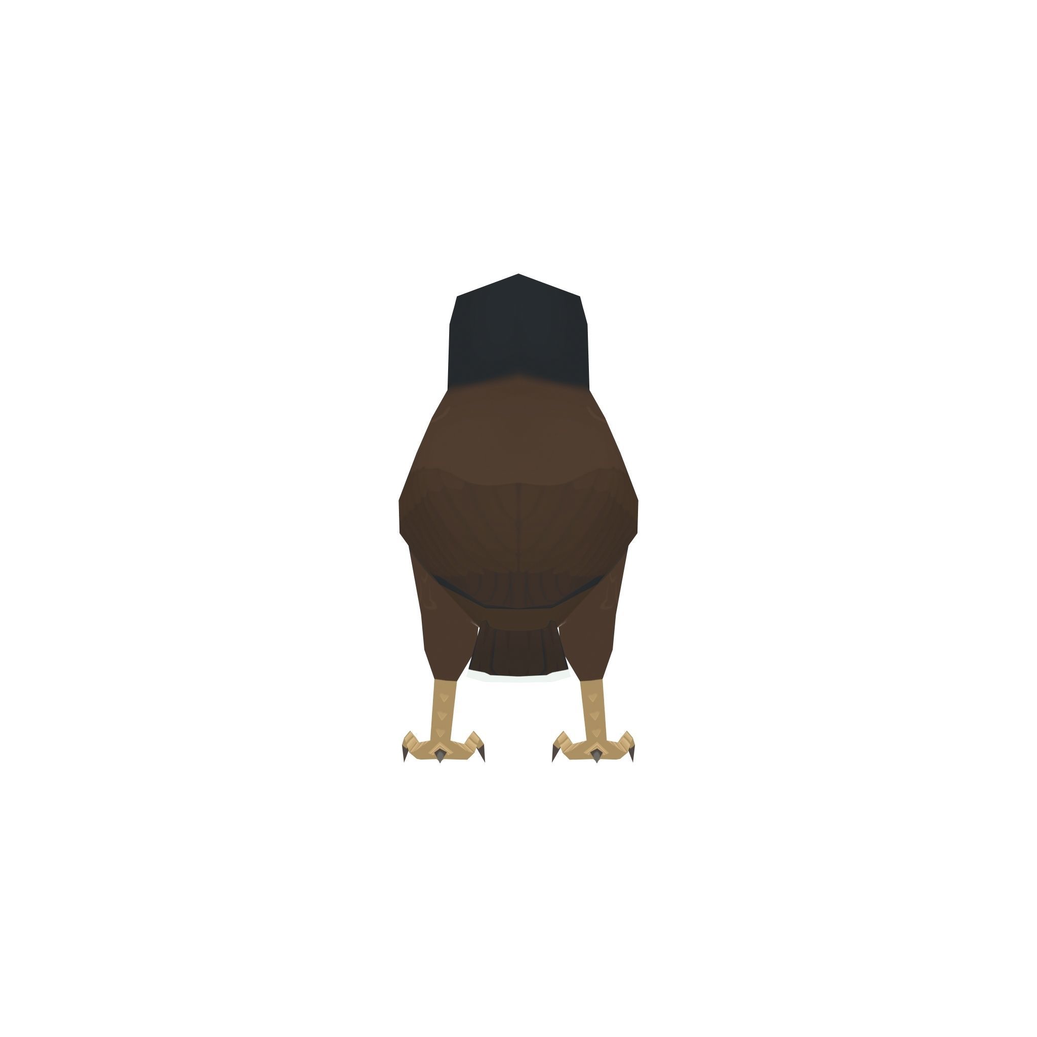 Common myna Low-poly 3D model_3