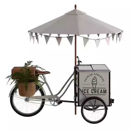 Ice cream bicycle 1