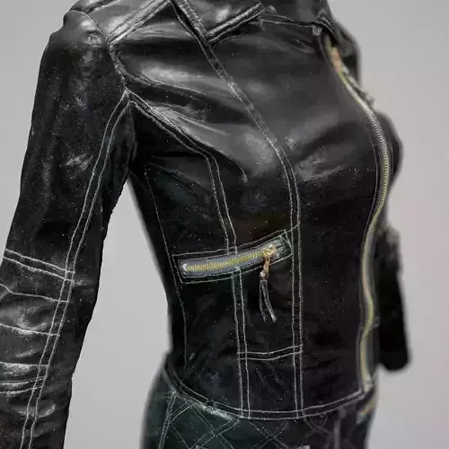 Leather Skirt and Jacket