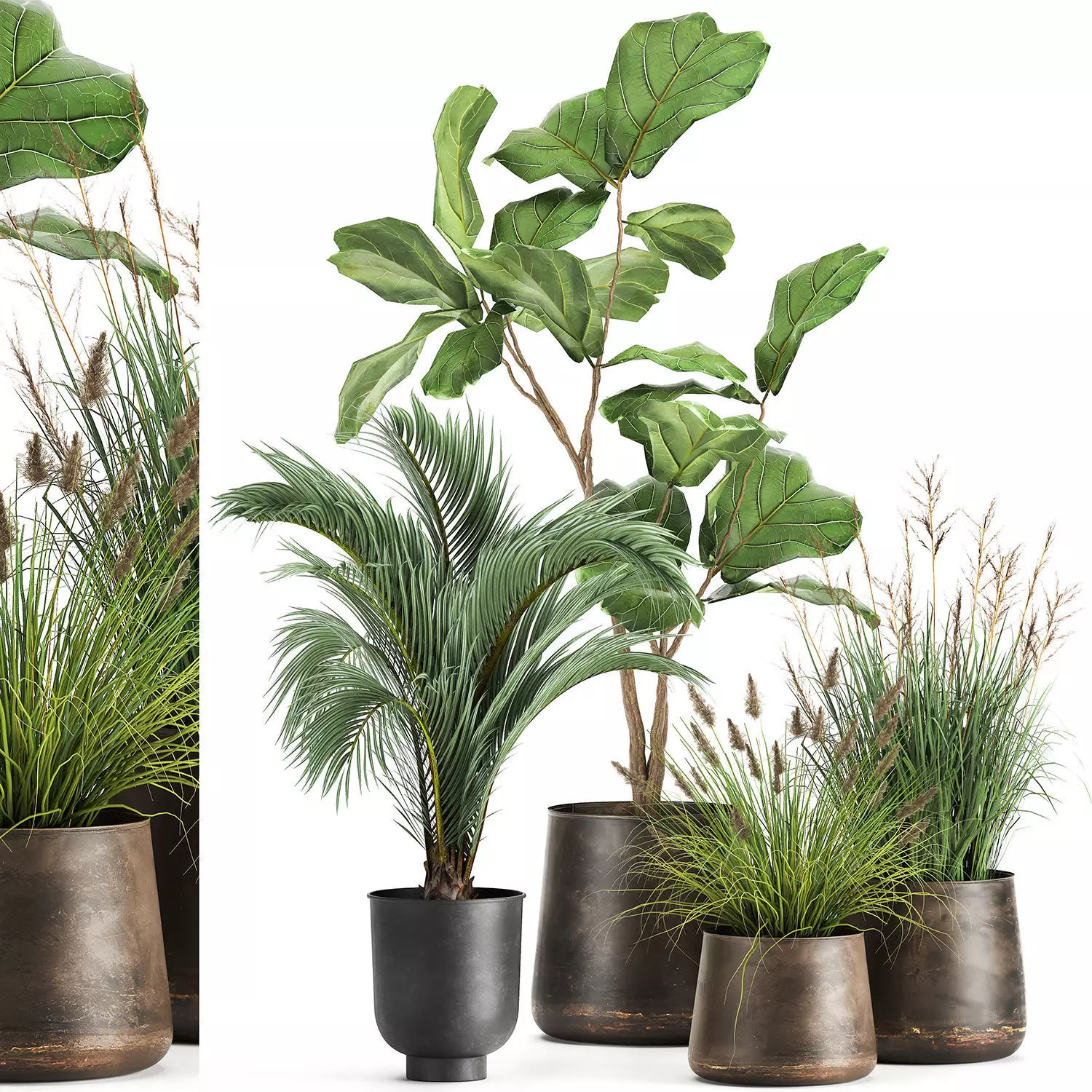 Houseplants in a rust flowerpot for the interior 997 3D model