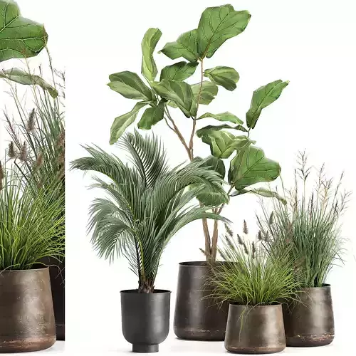 Houseplants in a rust flowerpot for the interior 997 3D model
