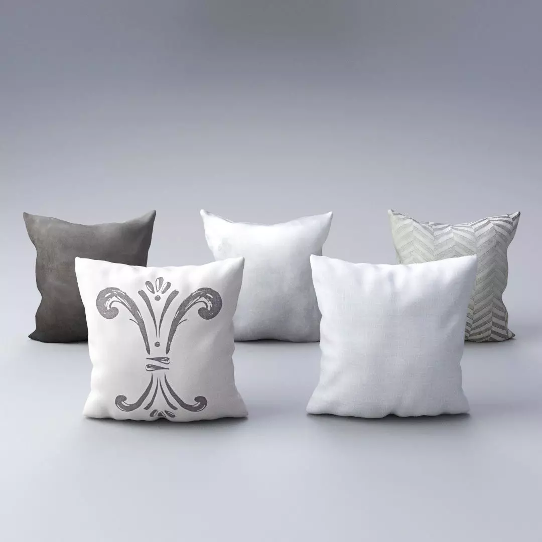 Pillow Set 2 throw pillows 3D model_0