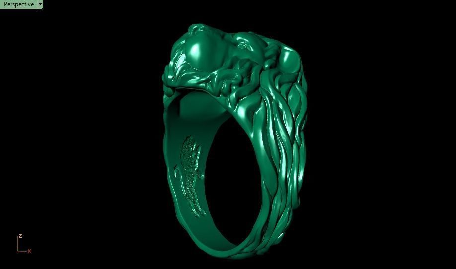 lion ring 3D print model_23