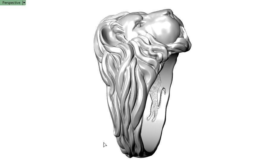lion ring 3D print model_18