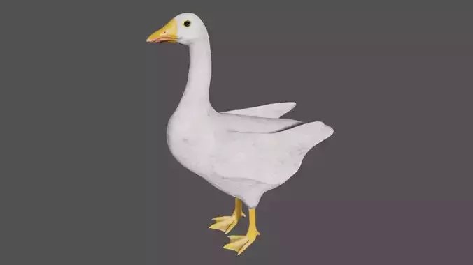 White Goose Duck 3D model